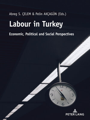 cover image of Labour in Turkey